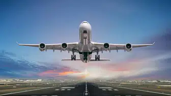 Uçak Motorunda Şaşırtan Keşif: Binlerce Arı Kalkışı Engelledi!