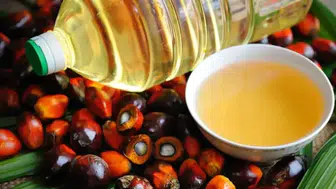 Palm Yağı ve Soya Yağı Fiyatlarında Rekor Artış: İşte Nedenleri ve Güncel Değerler