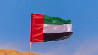 Bakanlık Açıklaması: 9 Balistik Füze, 1 Seyir Füzesi ve 50 İHA İmha Edildi!