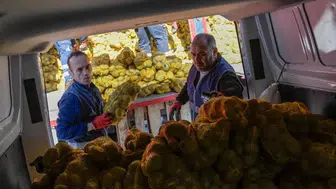 Büyükşehir Belediyesi, 60 Bin Aileye Patates Yardımını Başlattı!