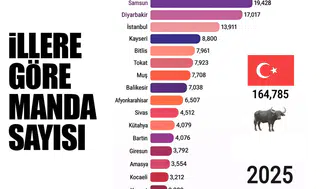 Manda Haritası Yayınlandı: Zirvede Beklenmedik İl Dikkat Çekti!