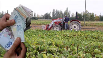 TÜİK, Üç İlde Ekonomik Büyüme Raporunu Yayınladı!