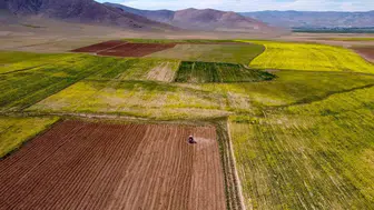 Kamu Mallarını Edinmenin Yöntemleri: İzlenmesi Gereken Adımlar Nelerdir?