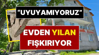 Muş’ta kabus dolu günler: Evleri yılanların istilasına uğrayan aile çaresiz kaldı