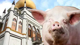 İntikam hırsı Singapur'da hapis getirdi: Hedef aldığı 7 camiye domuz eti gönderdi