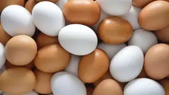Balıkesir'in köklü üreticisine mahkemeden şok karar: 43 yıllık serüven noktalandı