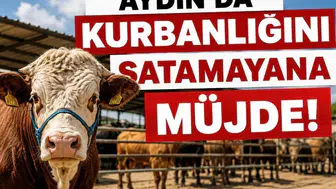 Kurban pazarında kalan üreticiye devlet güvencesi: ESK devreye giriyor