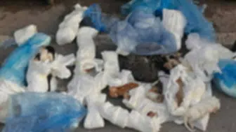 İzmir Buca’da kan donduran manzara: Çöp kenarında 33 cansız kedi bulundu