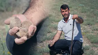 Toprağın altındaki serveti keşfetti: Bir sezonda 2,5 ton topladı, kazancıyla gayrimenkul zengini oldu