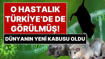 Denizlerin ortasında kabusa dönüşen yolculuk: Hantavirüs paniği sınırları aştı