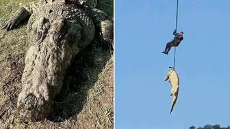 Nehirdeki sessiz katil: Midesinden çıkanlar bölgedeki gizemli kayıpları aydınlatabilir