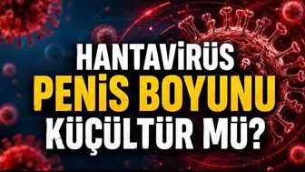 İnternet dünyasının asılsız sağlık efsanelerine bir yenisi daha eklendi: Hantavirüs ve genital organlar üzerine dolaşıma sokulan iddialar gerçeği yansıtıyor mu?
