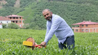 Çayda yeni fiyat dengesi: Üretici kuru çay zammı için sinyali verdi