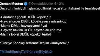 AK Parti Bursa Milletvekili Osman Mesten'den Sokak Köpekleri Çıkışı: "Can Dost Değil, Köpektir"