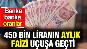 Parasını mevduatta değerlendirecekler için kritik liste: 450 bin TL'yi bankaya yatırana ne kadar ödeniyor?