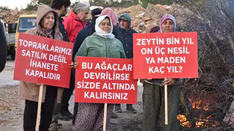 Akbelen’de kömür madeni genişlemesine fren: Danıştay "acele" kararı askıya aldı