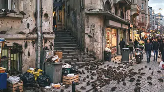 Kabus gibi istila: Avustralya’da tarım ve yaşam durma noktasına geldi