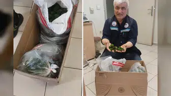 Kapıkule’de “hediyelik eşya” kılıfı deşifre oldu: Milyonluk kaçak yosun operasyonu