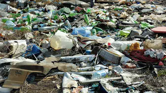 Ushuaia'da Hantavirüs krizi: Gemideki salgının izi çöp sahasına mı uzanıyor?