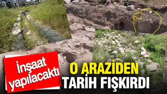 Hayallerindeki villa için temel atma hazırlığındaydı: Kazma vurdu, tarihin derinliklerinden Roma nekropolü çıktı