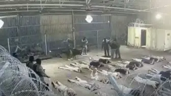 İsrail’in Filistinli esirlere uyguladığı sistematik şiddet Uluslararası Adalet Divanı yolunda: Hukukçulardan sert uyarı