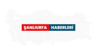 Şanlıurfa'da mezarlıkta şoke eden görüntü: Valilikten jet hızıyla soruşturma kararı