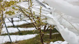 Meteorolojiden "yaz kapıda" müjdesi: Kar yerini bunaltıcı sıcaklara bırakıyor