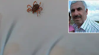 Sivas'ta keneye bağlı yaşam mücadelesi acı bitti: Madımak toplamaya gitmişti
