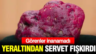 Mücevher dünyasını sallayan keşif: Avuç içine sığmayan dev yakut gün yüzüne çıktı