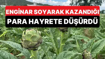 Enginar hasadında sıra dışı gelir kapısı