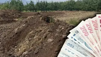 Tarım sektöründe iş gücü krizi maliyetleri gölgede bıraktı