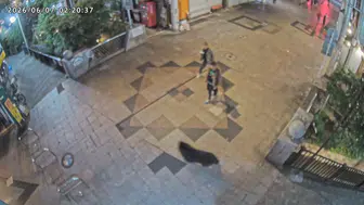 Utsunomiya kentinde günlerdir süren ayı paniği sona erdi