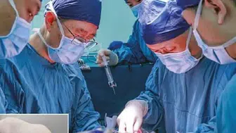 Organ naklinde devrim niteliğinde çoklu organ denemesi