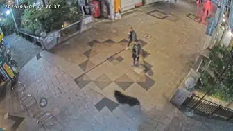 Utsunomiya kentinde ayı paniği okulları kapattırdı