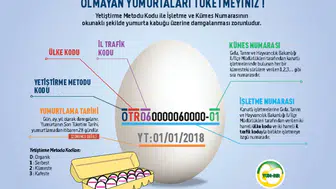 Sahte organik etiketli yumurta operasyonu