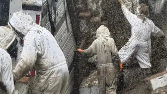Texas eyaletinde kaza sonrası milyonlarca arı yollara saçıldı