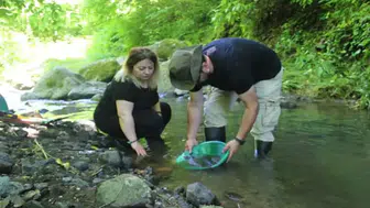 Ordu derelerinde altın arayışı yeni bir ekonomi yarattı