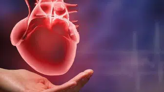 Kalp sağlığını korumada yoga etkisi mercek altında