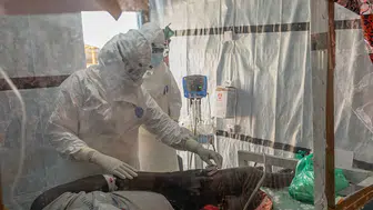 Fransa topraklarında tespit edilen ilk Ebola vakası alarm verdi