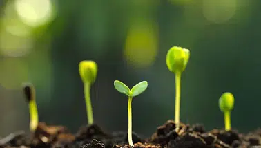 Cemre Düşme Günleri 2026 | İlk Cemre Ne Zaman Düşecek? Cemreler Havaya, Suya ve Toprağa Hangi Tarihlerde Düşer?