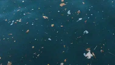 Akdenizdeki plastik kirliliğinin ana sorumlusu nehirler
