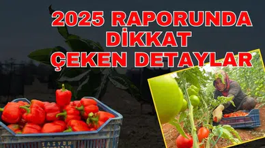 TÜİK’in 2025 raporunda dikkat çeken detaylar