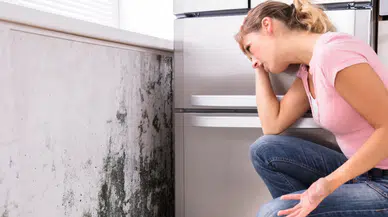 Küf Kokusuna Veda Et! Duvarları Temizlemenin En Etkili Yolları