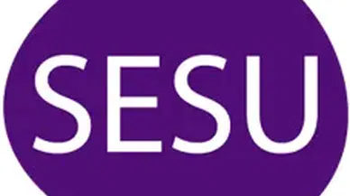Sesu İsrail’in mi, hangi ülkenin malı? Sesu Türk malı mı, sahibi kim? Sesu kimin markası?