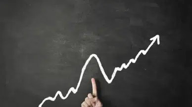 This token is subjected to high volatility ne demek?