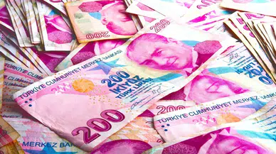 Devlet, Vatandaşlara Aylık 14.042 TL Destek Sağlıyor!