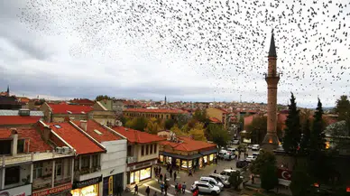 Uşak'ın En Lüks Semti Hangisi?