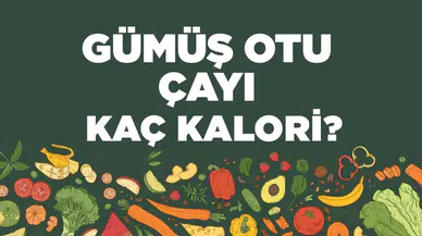 Gümüş Otu Çayı'nın Kalori Değeri ve Besin İçerikleri Hakkında Bilgiler