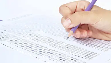 TIPDİL Sonuçları Ne Zaman Açıklanacak? İşte Güncel Beklentiler ve Süreç Hakkında Tüm Detaylar