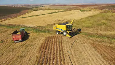 Kiralık tarla başvuruları başladı: Atıl araziler üretime açılıyor